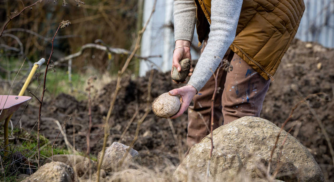 Vild Havedag i samarbejde med Vild Med Vilje og DN Bornholm