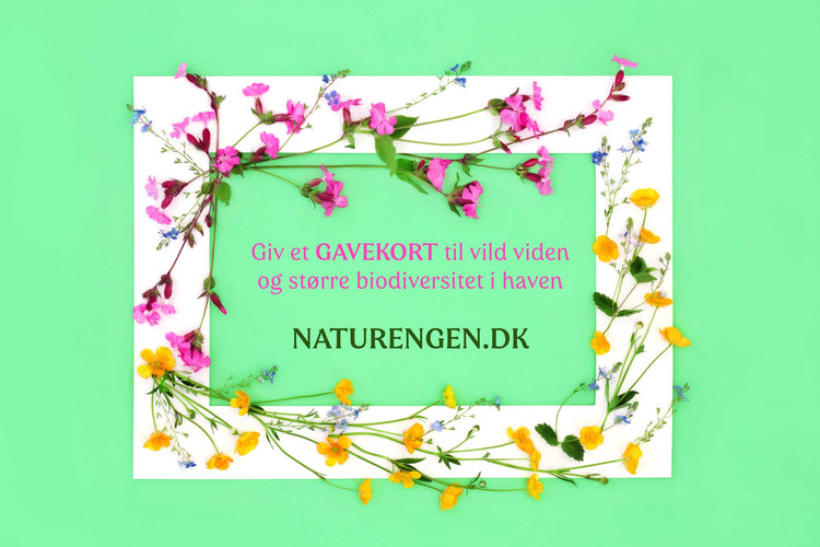 Gavekort til mere biodiversitet