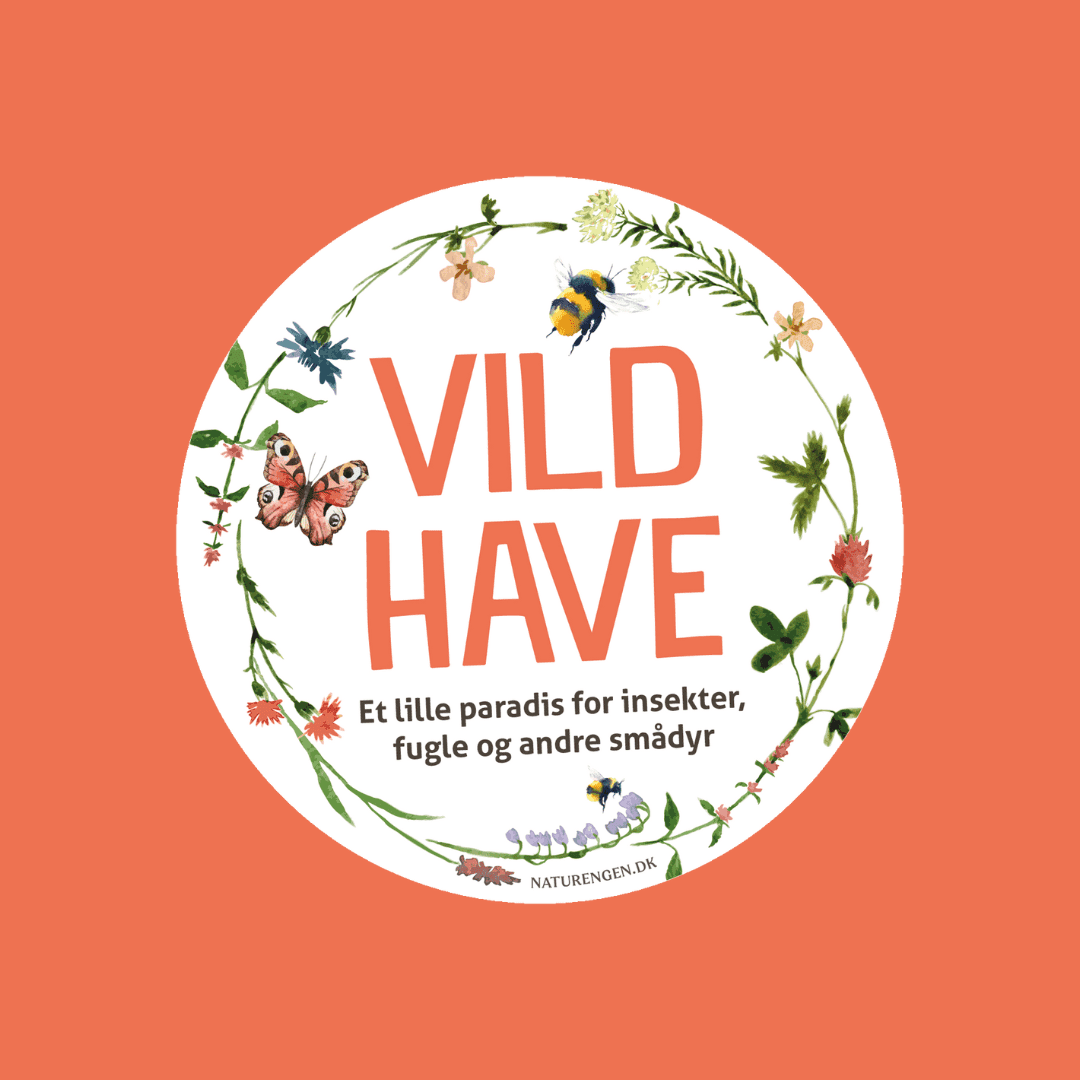 Vild have-skilt ·· Mønje-vokshat (koral)