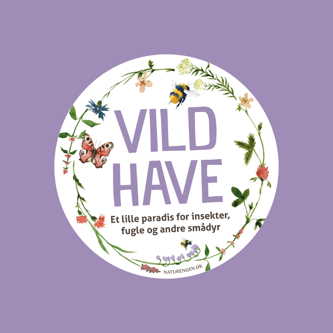 Vild have-skilt ·· Mørkviolet slørhat Ø24 (lilla)