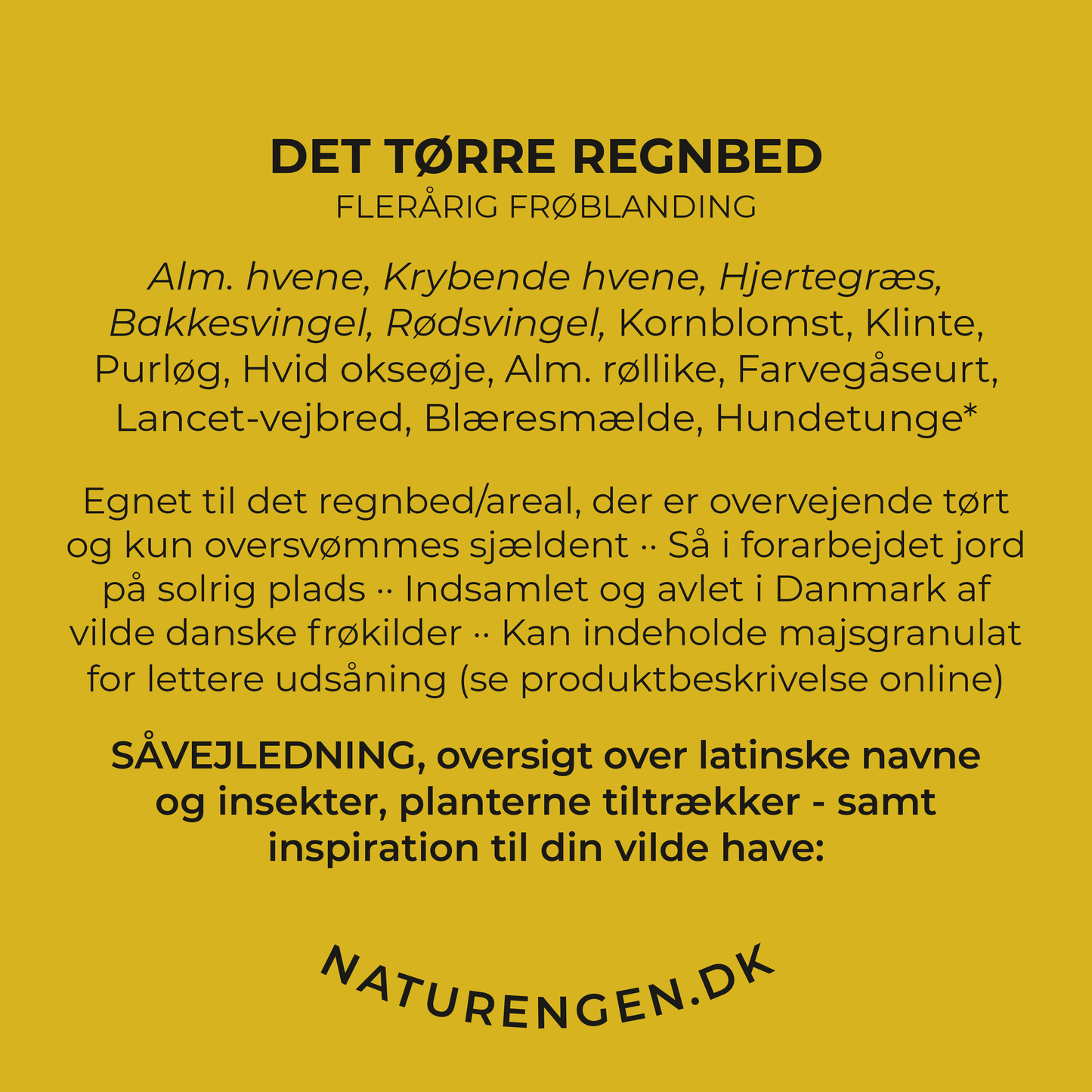 NYHED 🌱 Frøblanding: Det tørre regnbed - 14 arter (9 blomster, 5 græsser)