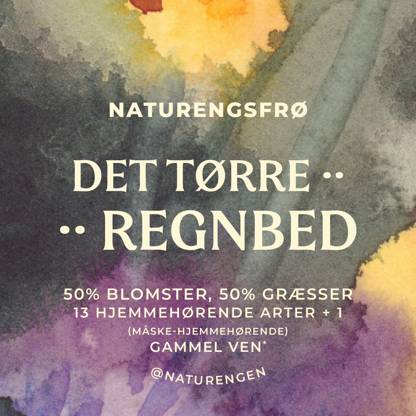 Frøblanding: Det tørre regnbed - 14 arter (9 blomster, 5 græsser)