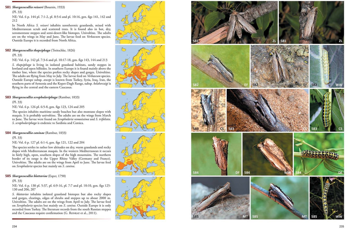 Noctuidae Europaeae Essential ·· Komplet værk over europæiske ugler