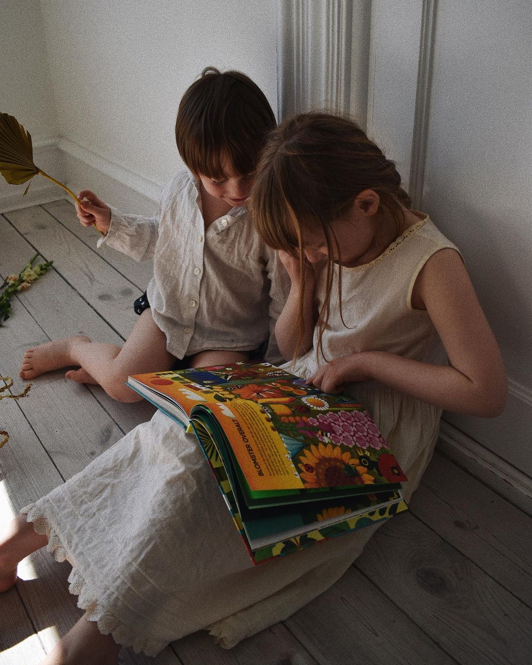 Jeg spiste solskin til morgenmad - En hyldest til planter verden over