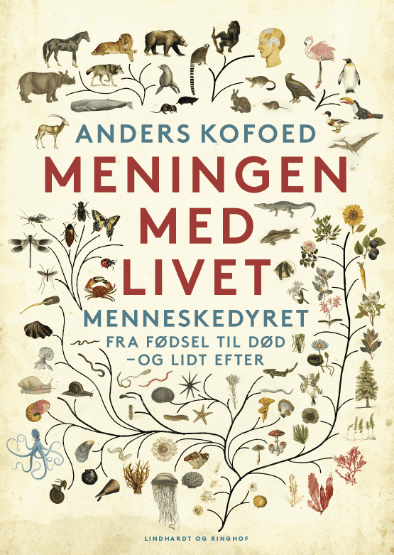 Meningen med livet. Menneskedyret fra fødsel til død - og lidt efter