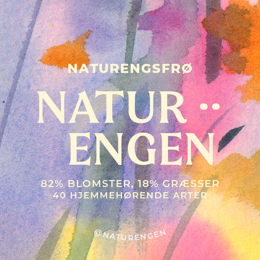 TILBAGE PÅ LAGER: Frøblanding: Naturengen 2023 - 40 arter