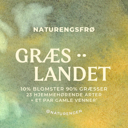 Frøblanding: Græslandet - 25 arter (21 blomster, 4 græsser)