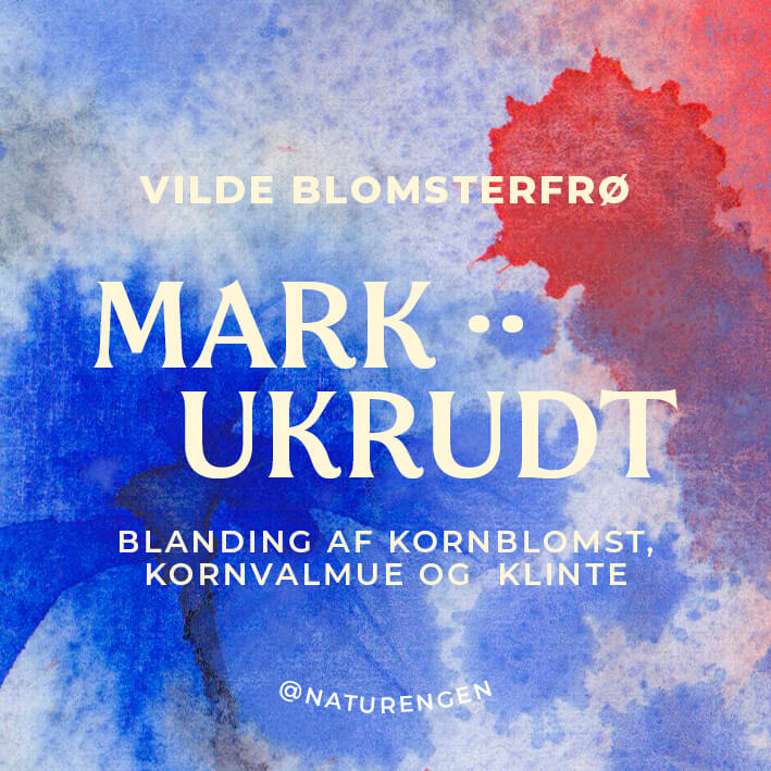 Frøblanding: Markukrudt - Kornblomst, Kornvalmue og Klinte