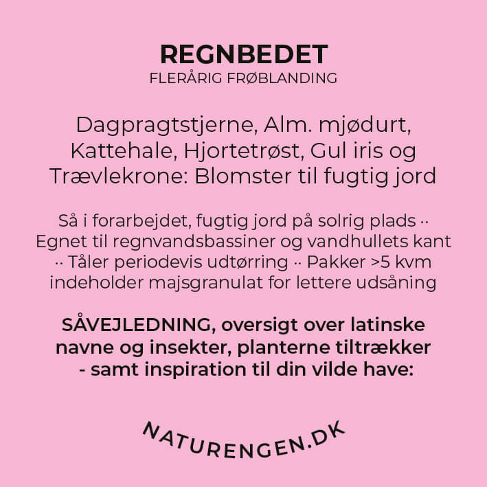 Frøblanding: Regnbedet - 6 arter