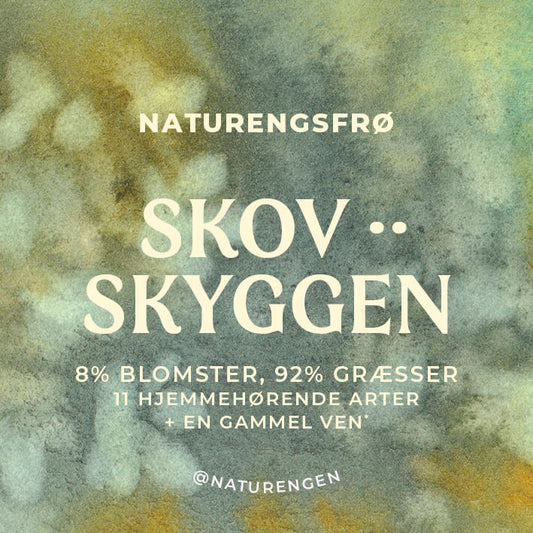 Frøblanding: Skovskyggen - 12 arter - med Ramsløg