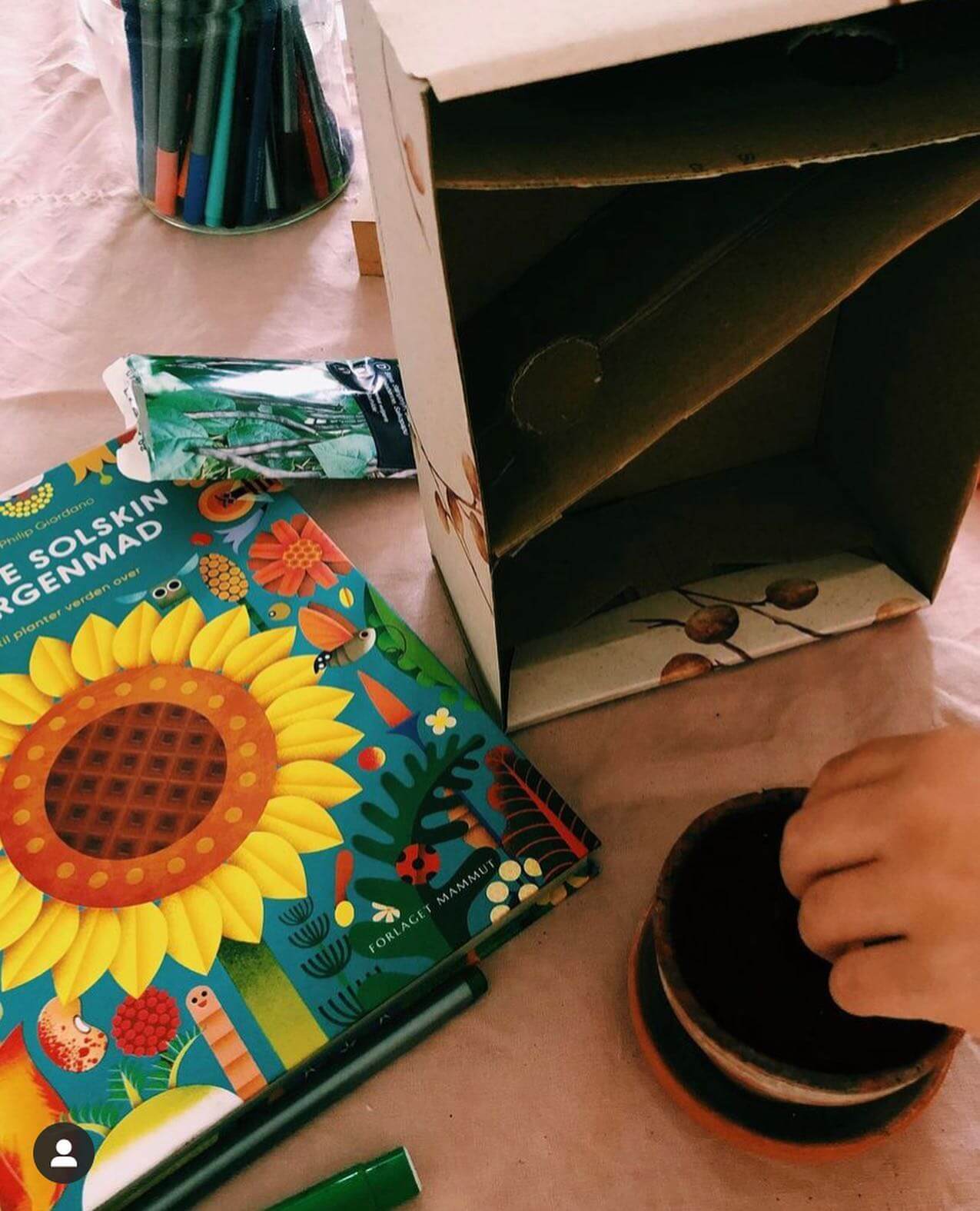 Jeg spiste solskin til morgenmad - En hyldest til planter verden over