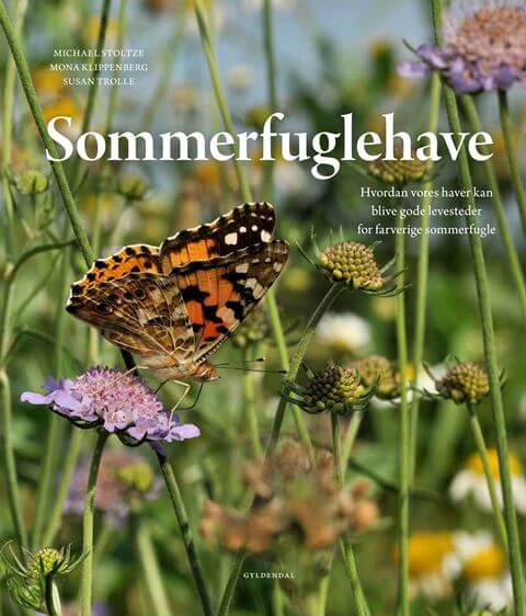 Sommerfuglehave - hvordan vores haver kan blive gode levesteder for farverige sommerfugle