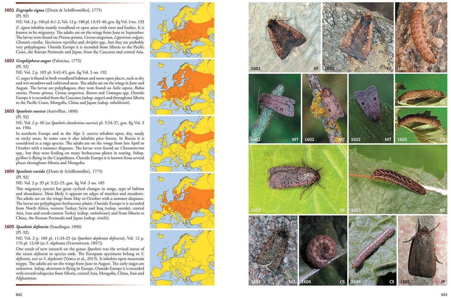Noctuidae Europaeae Essential ·· Komplet værk over europæiske ugler