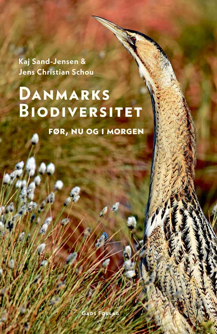 Danmarks biodiversitet - Før, nu og i morgen