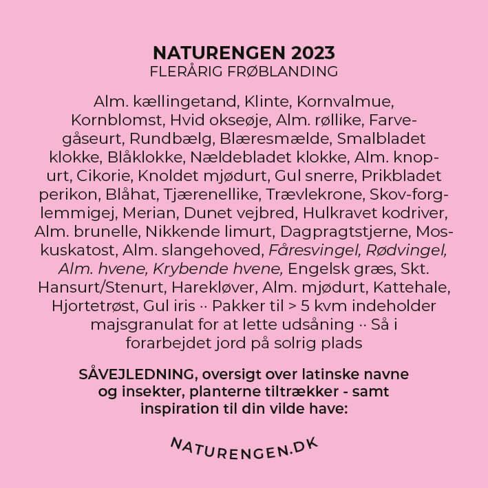 Frøblanding: Naturengen 2023 - 40 arter (SIDSTE PÅ LAGER)