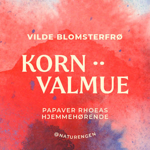 You added <b><u>Vilde blomsterfrø: Kornvalmue ·· Papaver rhoeas (NY PRIS)</u></b> to your cart.
