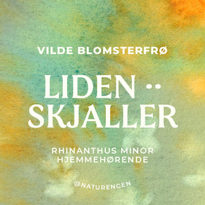 You added <b><u>Vilde blomsterfrø: Liden skjaller ·· Rhinanthus minor (NY PRIS)</u></b> to your cart.
