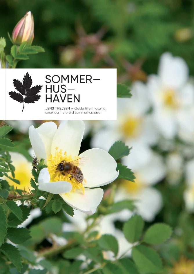 Sommerhushaven - guide til en naturlig, smuk og mere vild sommerhushave